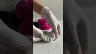 Как приготовить Двойные МОТИ от @mashasilkina☺️double mochi