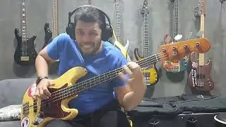 Red Hot Chili Peppers - I'll Be Your Domino (Bass Cover)