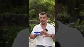 НЕ СОВЕРШАЙ ЭТУ ОШИБКУ