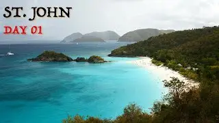 Elkhorn Coral takes over Hawksnest Bay | St. John, USVI