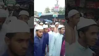 জালেম সরকার এর বিরুদ্ধে বিশাল মিছিল