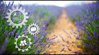 Integrating InfoPath with SharePoint Workflows: Qdabra Weekly Free Webinar