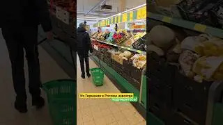 Из Германии в Россию навсегда