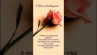 Всем добра, побольше радости и мирного неба над головой