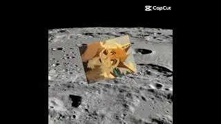 First rat to the moon