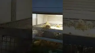 ВЫВОД 2022/КАК МЫ ЖИВЁМ В ДЕРЕВНЕ/