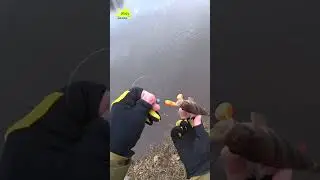 Довольно крупная приманка для весеннего окуня  