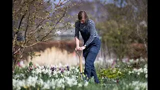 Help Katy care for The Hepworth Wakefield Garden