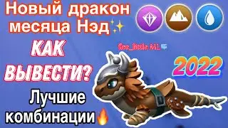 ✨КАК ВЫВЕСТИ НОВОГО ДРАКОНА МЕСЯЦА НЭД В ЛЕГЕНДЫ ДРАКОНОМАНИИ/ЛУЧШИЕ КОМБИНАЦИИ/Dragon Mania Legends