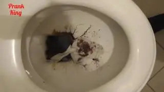 Измазала руку говном в туалете   Smeared hand shit in the toilet prank !