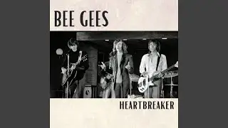 How Can You Mend A Broken Heart (Live)
