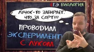 Плазмолиз и деплазмолиз в ЕГЭ