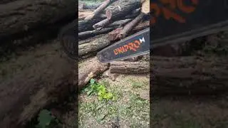 бензопила Днипро М