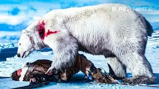 Борьба со льдом / Against the Ice (2022)