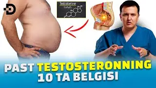 ПАСТ ТЕСТОСТЕРОННИНГ 10 ТА БЕЛГИСИ. НИМАЛАРГА ЭЪТИБОР БЕРИШ МУХИМ?