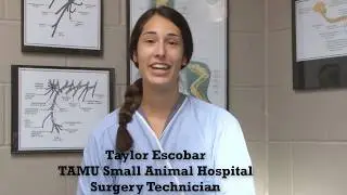 Veterinary Technician Interview - Taylor Escobar, Surgery Tech