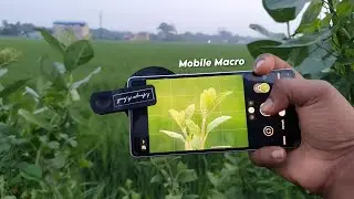 Best Macro Lens for Smartphone | Top Mobile Macro Lenses Review 2024