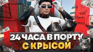 РАБОТАЮ В ПОРТУ 24 ЧАСА С КРЫСОЙ НА ГТА 5 РП | САМАЯ ЛЕГКАЯ И ПРИБЫЛЬНАЯ РАБОТА В 2025 НА GTA 5 RP