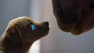 I cry every time I see this! This video will melt your hearts!😭