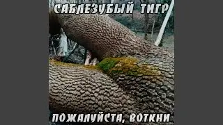 В последний раз