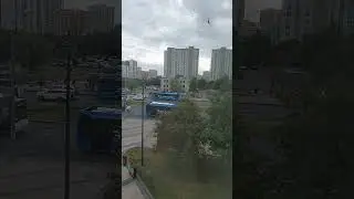Москва. Митино. Сентябрь 2024.