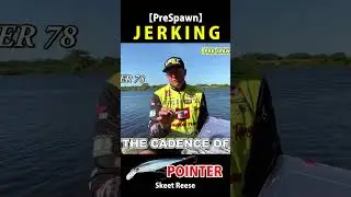 【PreSpawn 03, 04】PreSpawn Jerking Tech【Pointer】