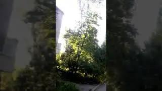 утренняя тишина города