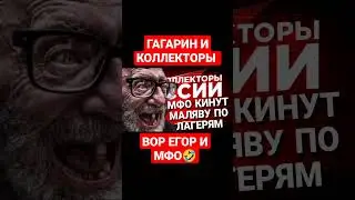 ГАГАРИН И КОЛЛЕКТОРЫ / ВОР ЕГОР И МФО 😅 