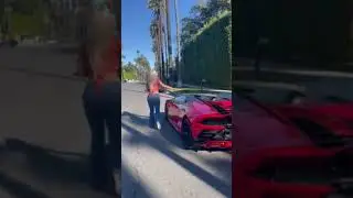 nicolette shea ⛽🚗🚗🚗🚗🚗