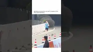 Athletes are lucky this cat didn’t compete in the Paris 2024 Olympics