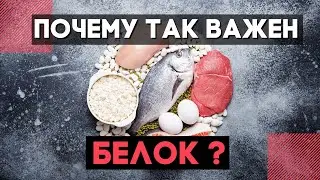ЗАЧЕМ НУЖЕН БЕЛОК//ПРАВИЛЬНОЕ ПИТАНИЕ И ФИТНЕС 