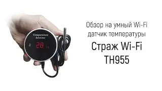 Обзор на умный Tuya Wi-Fi цифровой датчик температуры «Страж Wi-Fi TH955»