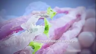 Механизм действия SMAS лифтинга