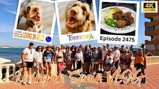 Charity, Oxtail, Puppies 1st birthday and guess the programme- living in Spain Vlog Episode 2475