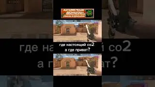 где настоящий со2 а где приват? 