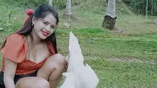 kalami sa adobong Pato | Duck