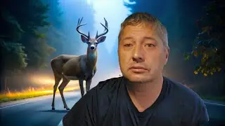 Олень прыгнул прямо под колеса | Приключения Блогера БН