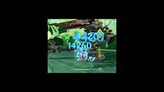 NILOU MAIN DPS 