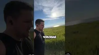 Мудрость дня 🍤