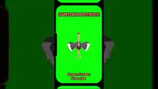 CARTOON OSTRICH video footage Green Screen. GREEN SCREEN animation.