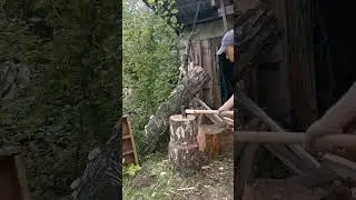 Заготовка дров на зиму