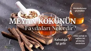 MODERN AKTAR MEYAN KÖKÜ | FAYDALARI NELERDİR?