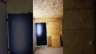 8 ноября 2023 г.