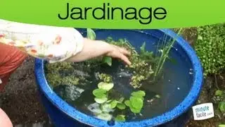 Comment créer un bassin à poissons dans son jardin ?