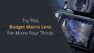 Budget Macro Lens for MFT Micro Four Thirds | Using Microscope Lenses on Micro Four Thirds Cameras