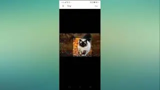 Realme 7 Call Full Screen Photo Setting