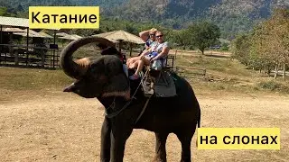 ТАИЛАНД 2024 🇹🇭 Экскурсия на реку КВАЙ часть 5🌴 Катаемся на СЛОНАХ 🐘