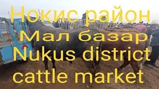 Commodity market of Nukus district of the Republic of Karakalpakstan