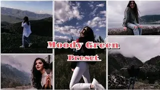 Moody Green - Lightroom Mobile presets - Moody Green presets - Moody filter - Dark filter