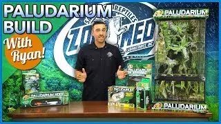 Building a Custom Paludarium Habitat with Ryan!